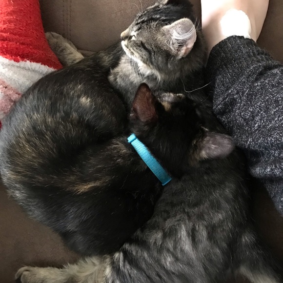 💕😃 Meet Your Posher: Mandy! 😃💕 - Picture 15 of 16